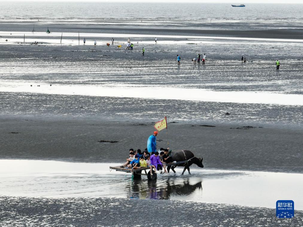 永利现金玩法